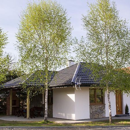Appartement "Miedzy Gruszka A Sanem" à Lesko Extérieur photo
